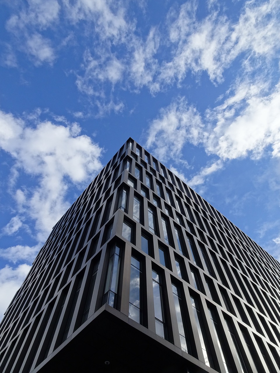 Microsoft publie le premier aperçu d'Office pour Windows 10  PerlmOl